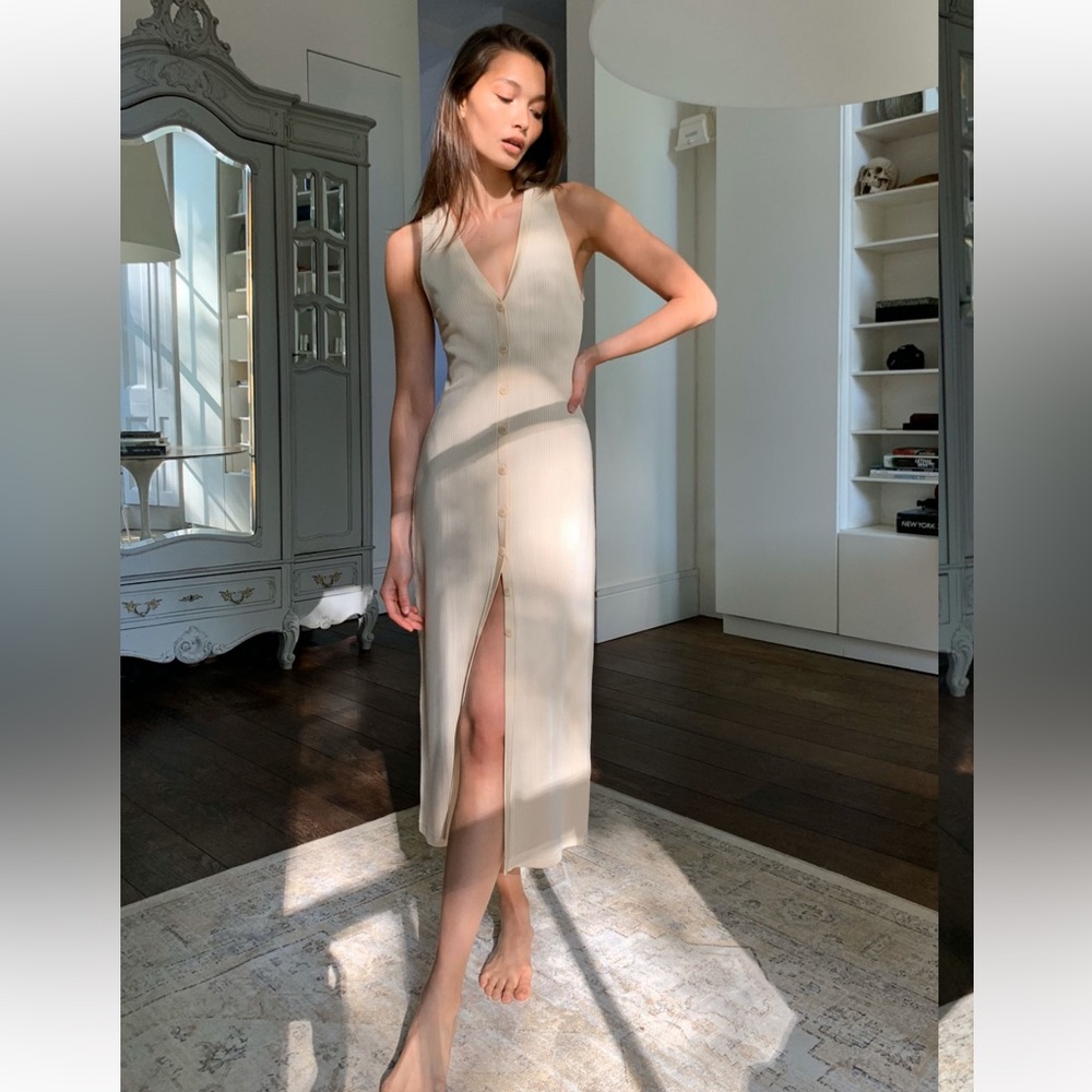 Babaton Jacey dress